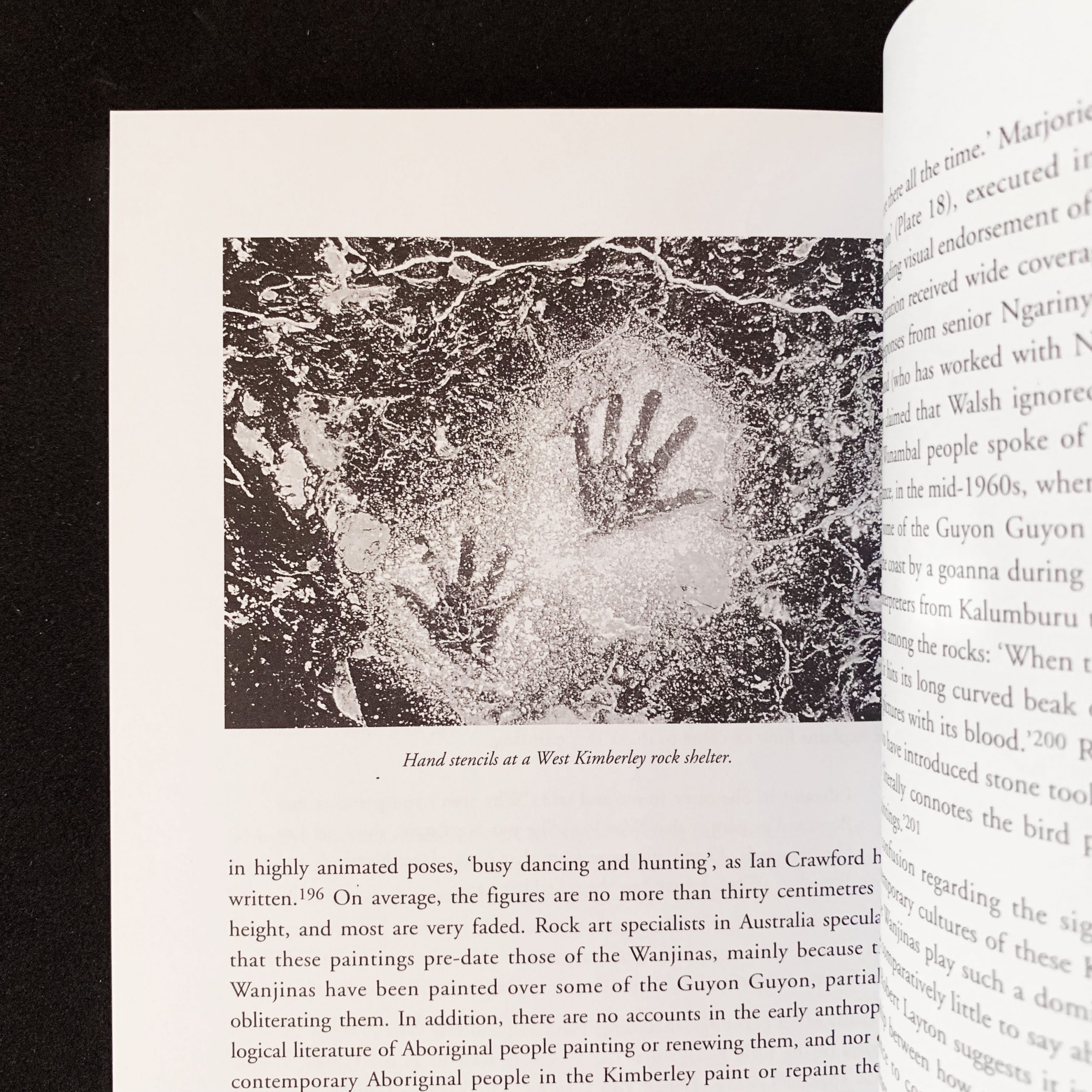 INTERNAL IMAGE FROM Keeping the Wanjinas Fresh (new edition)