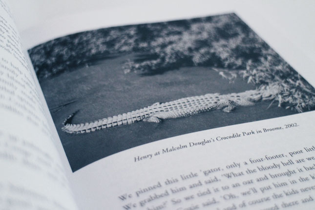 INTERNAL IMAGE FROM Keeping the Wanjinas Fresh (new edition)