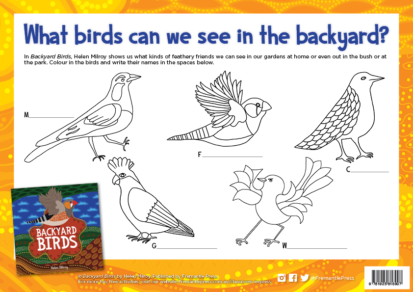 Backyard Birds activity sheet