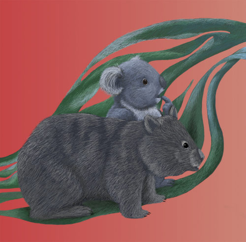 A wombat and a koala