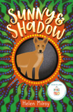 Sunny and Shadow