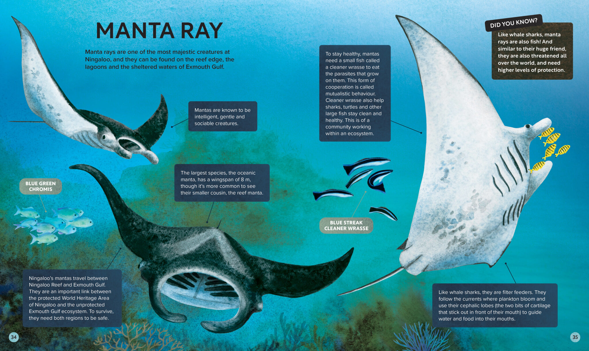 Internal images from Ningaloo by Tim Winton
