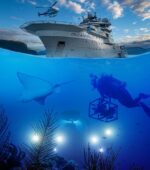Family pass and private tour of OceanXperience at WA Museum