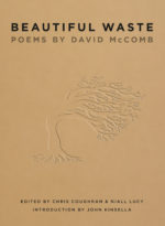 Beautiful Waste: Poems by David McComb (The Triffids)