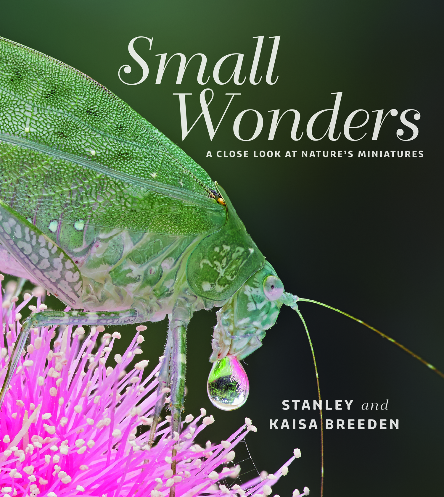 Small Wonders: A close look at nature's miniatures